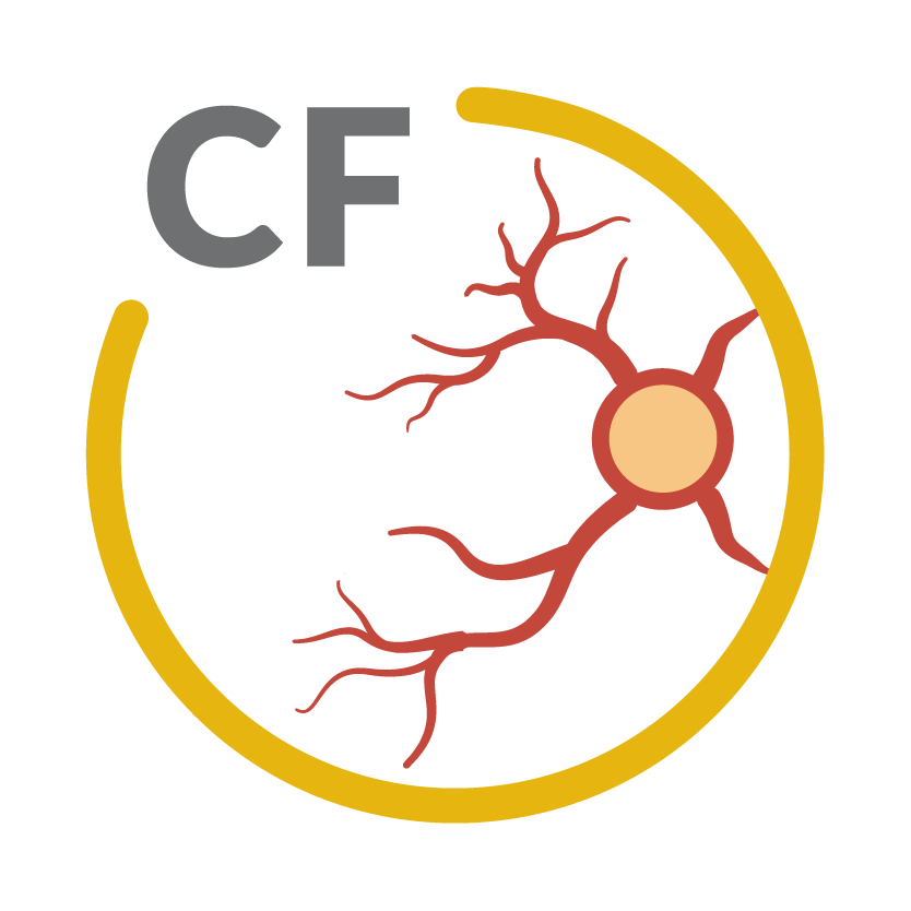Color Fundus Image icon